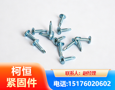 张家界华司钻尾丝