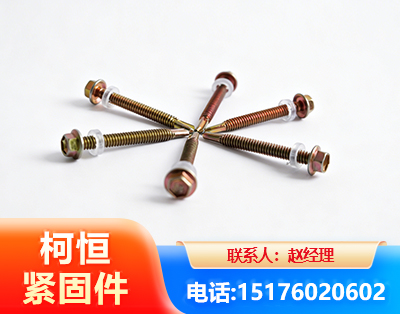 张家界六角钻尾丝
